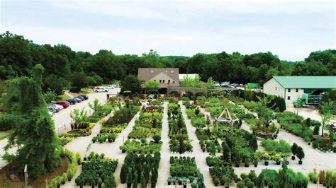st louis area wholesale plant and tree nursery